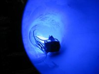 img_9511.jpg