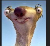 Sid slotha.jpg