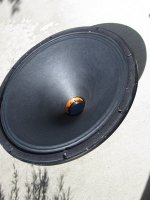 4601 cone.jpg