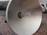 DSCF3023.JPG