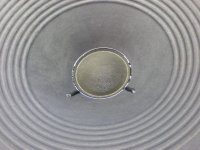 Celestion G12 Alnico Gold dustcap.jpg