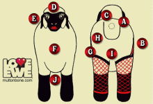 sheepside.gif