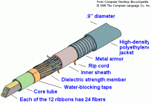 FIBER288.GIF