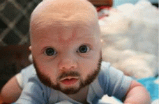 Bearded baby.gif