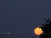 moon1.JPG