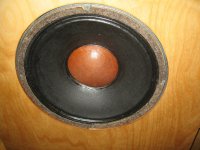 IMG_8004.JPG