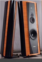 curved speaker.JPG