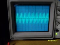SAM_0767.JPG
