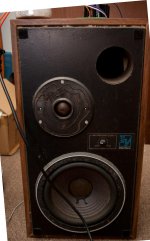 IMGP8321.jpg