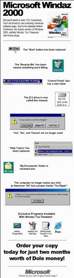 aussie windows.jpg