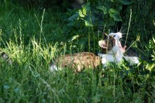 DSC_08090001.JPG