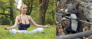 Yoga.jpg