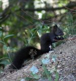 IMG_4267.jpg