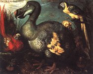 Dodo+and+2+mystery+macaws%2C+Roelandt+Savery.jpg