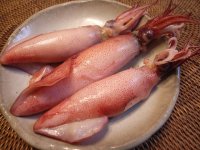 282028-octomom-2-0-woman-gets-pregnant-in-the-mouth-after-eating-squid.jpg