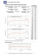 AC10074_mic_report.jpg
