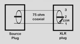 tn_RCA to XLR.jpg