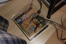 IMG_9013.JPG