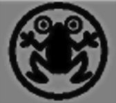 The frog.jpg