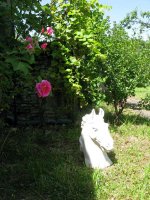 IMG_4629.jpg