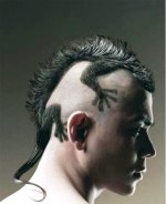 Haircut - lizard looking.jpg