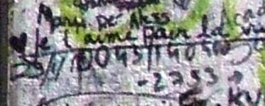 Venice 2012 010 cell number.jpg