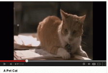 Cat - MIB.gif