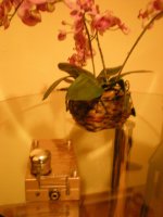 DSCN1118.jpg