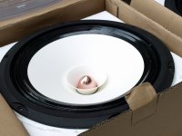 P5298848_.jpg