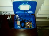 a-microcornu-amp-02.jpg
