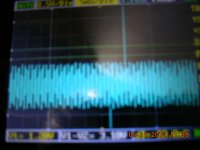 DSCN4393.JPG