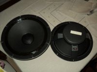 DSC00583.jpg