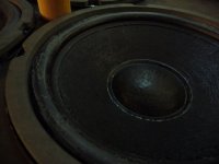 Vandy_2W_Woofer1.jpg