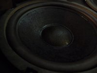 Vandy_2W_Woofer2.jpg