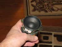 IMG_1037.jpg
