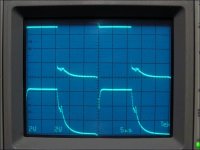 psP1010089bx.jpg