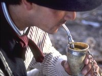 gaucho_mate.jpg