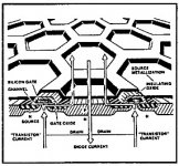 HexFetStructure[1].jpg