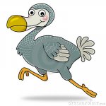 dodo.jpg