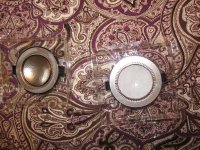 Coating Phragms 3.jpg Coating Phragms 3.jpg