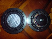 DSC02907.JPG