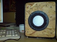 DSC02910.JPG