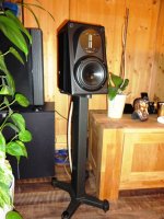 DSC01988-1.JPG