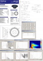 Beyma_SM-112 NE.JPG