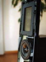 Metrum_Syncope_7_031208.jpg