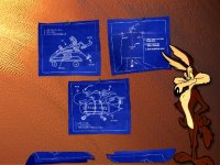 wile-e-coyote1.jpg