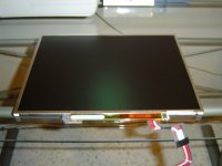 dsc02977.jpg