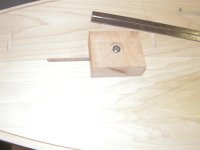 pict0098 (medium).jpg