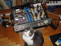 DSC00642.JPG