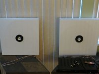 IMG_1020.jpg